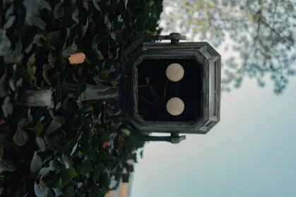 스핀트로폴리스 카지노 모바일 앱